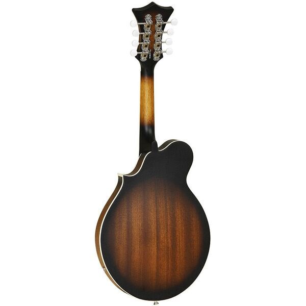 Tanglewood TWMFVSE Electro Acoustic F Style Mandolin | Original, image 2 of 2