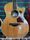 Taylor 414CE 2000 Natural Electro-Acoustic Guitar | Natural, thumbnail 2 of 5