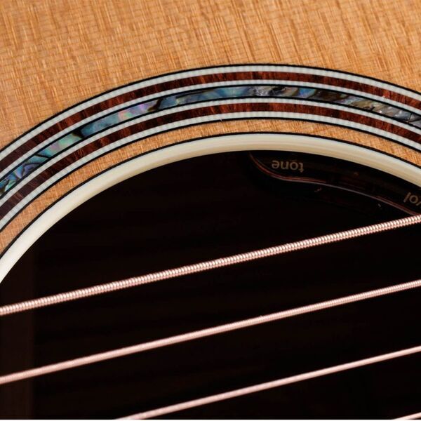 Taylor Gold Label 814e Electro-Acoustic | Original, image 5 of 5