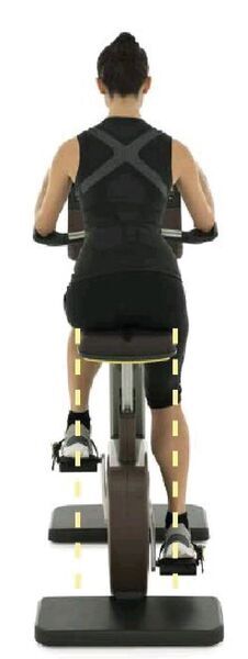 Technogym Artis Unity Bike | кафяво/сребристо 2