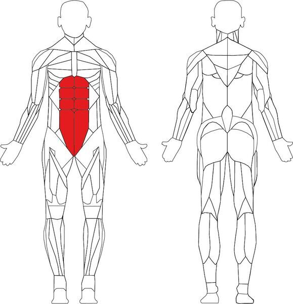 Technogym Element+ Abdominal Crunch | черно/сиво 2