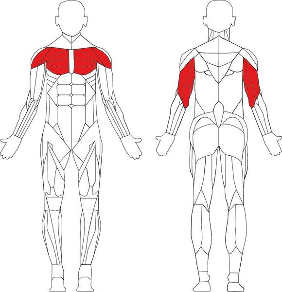 Technogym Element+ Chest Press | черно/сиво 2