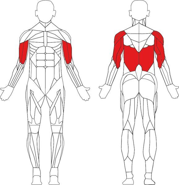 Technogym Element+ Kneeling Easy Chin Dip | черно/сиво 2