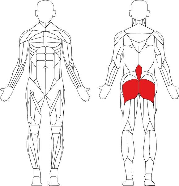 Technogym Element+ Lower Back | Crna/siva 2