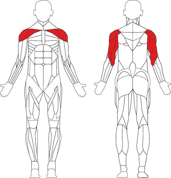 Technogym Element+ Shoulder Press | черно/сиво 2