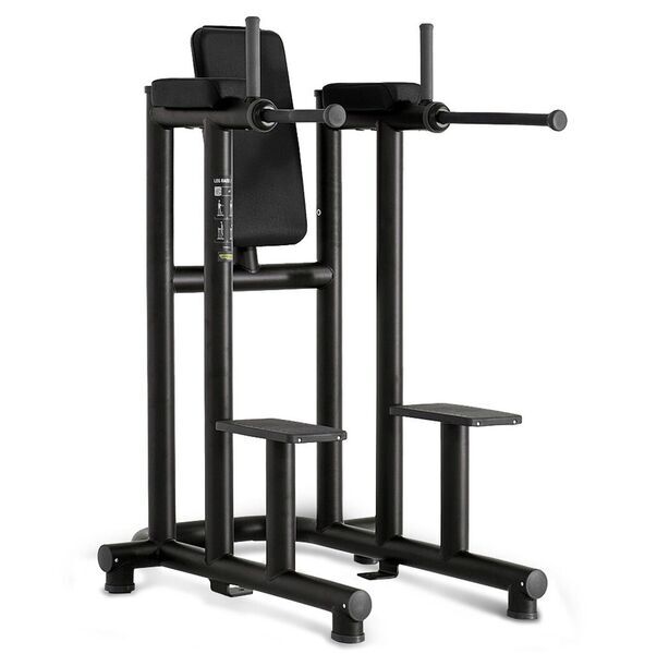 Technogym PA12 Dip/Leg Raise | черно 2