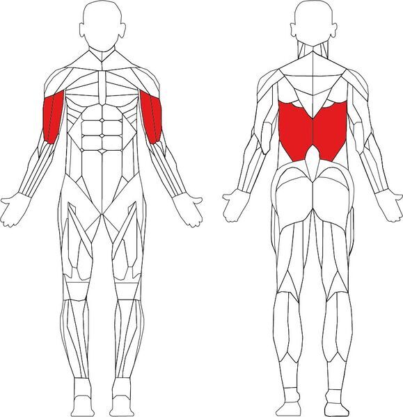 Technogym Selection Lat Machine | черно/сиво 3