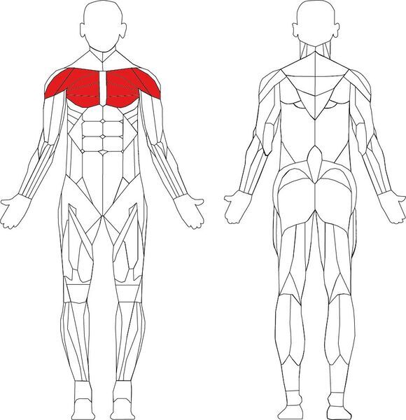 Technogym Selection Pectoral | черно/сиво 3