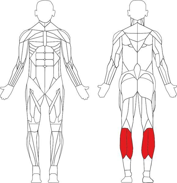 Technogym Selection Rotary Calf | черно/сиво 2