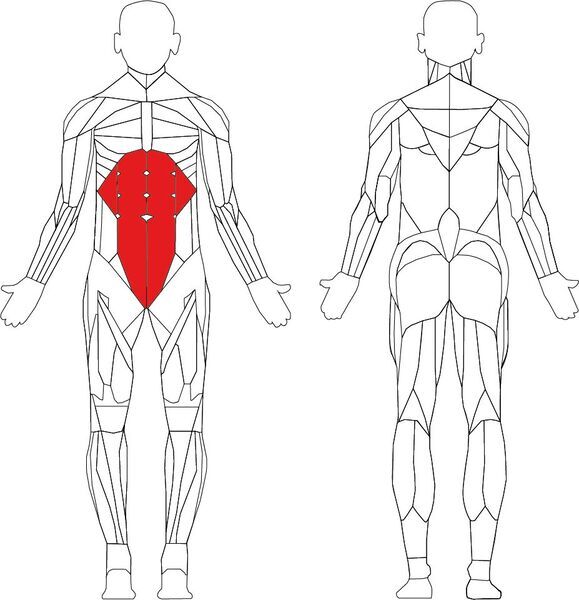 Technogym Selection Rotary Torso | черно/сиво 2