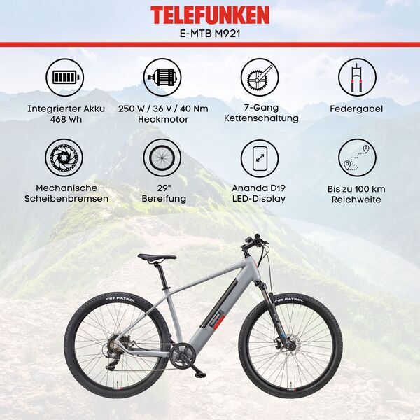 Telefunken M921 Aufsteiger | Diamant | grau | 29" | 48 cm | < 500 km 5