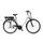 Telefunken RC890 Multitalent (2022) | Tiefeinsteiger | weiß | 28" | 49 cm | < 100 km, thumbnail 2 of 4