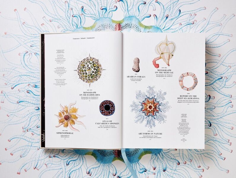 The Art and Science of Ernst Haeckel | white, image 2 of 4