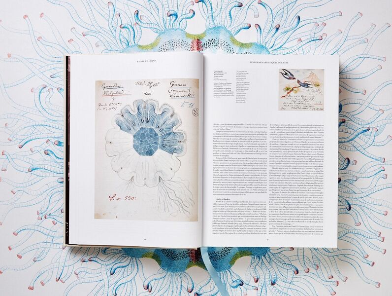 The Art and Science of Ernst Haeckel | white, image 3 of 4