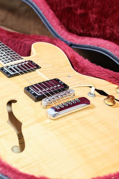 The Heritage H-535 Semi Hollow 1993 | Natural | Natural, image 5 of 5