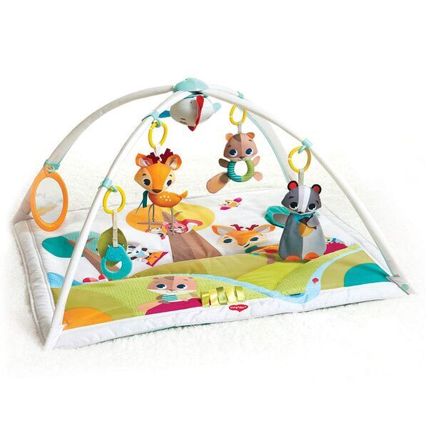 Tiny Love Gymini Deluxe 2-in-1 Baby Musik Spieldecke | multicolored 1
