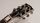 Tokai LC210S/JS-CM BB 2024 | Custom Order | Made u Japan | JS Crna | Crna, thumbnail 5 of 5