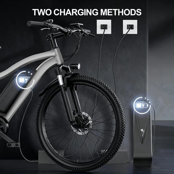 TOOFLY G73 Grey | Overstock | grey | 26" | unisize | < 500 km, image 2 of 4
