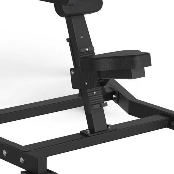 Toorx FWX-6500 Lateral Raise | schwarz 3