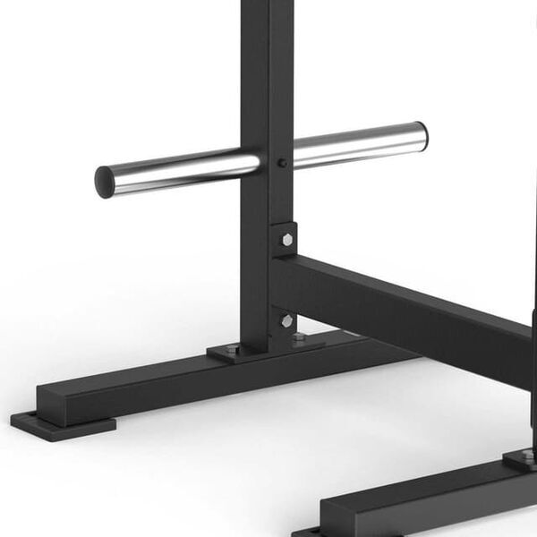 Toorx FWX-6550 Standing Lateral Raise | schwarz 2