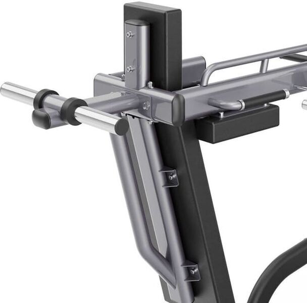 Toorx FWX-9000 Pendular Squat | schwarz 3