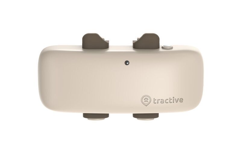 Tractive GPS CAT 4 – GPS-seurantalaite kissalle aktiivisuuden seurannalla | ILMAN TILAUSTA | TRKAT4 | ruskea 2