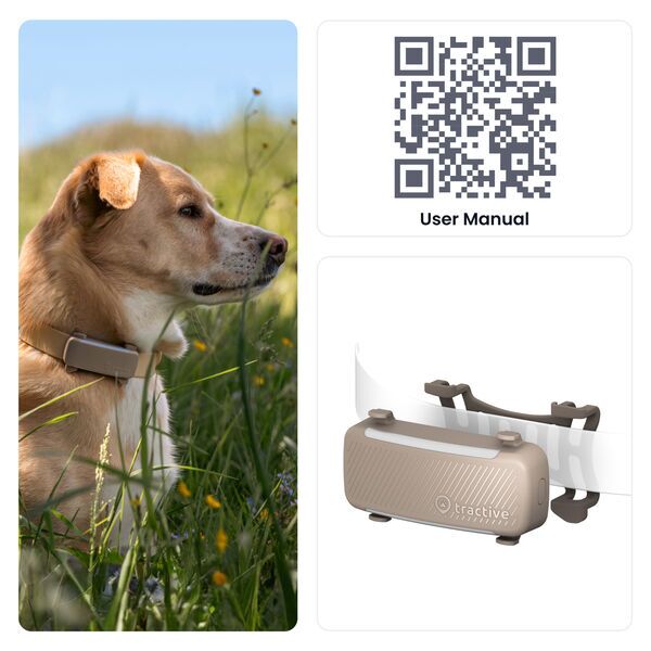 Tractive DOG 6 – GPS sledilnik za pse z zdravstvenimi funkcijami | BREZ NAROČNINE | TRDOG6BR | rjav 3