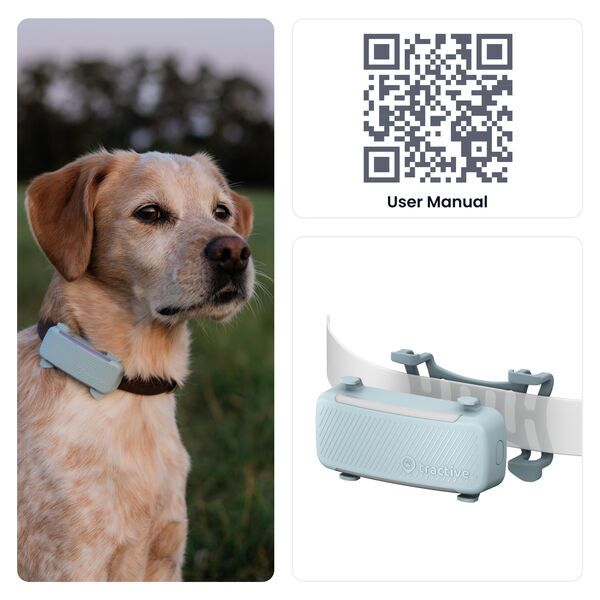 Tractive DOG 6 - GPS Dog Collar & Health Monitor | EXCL. ABO | TRDOG6MT | mint 3