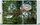 Tree Houses. 45th Ed. | white, thumbnail 4 of 4