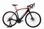 Trek Domane+ LT (2020) | Diamant | rot/schwarz | 56 cm | > 4000 km | Fazua thumbnail 1/5