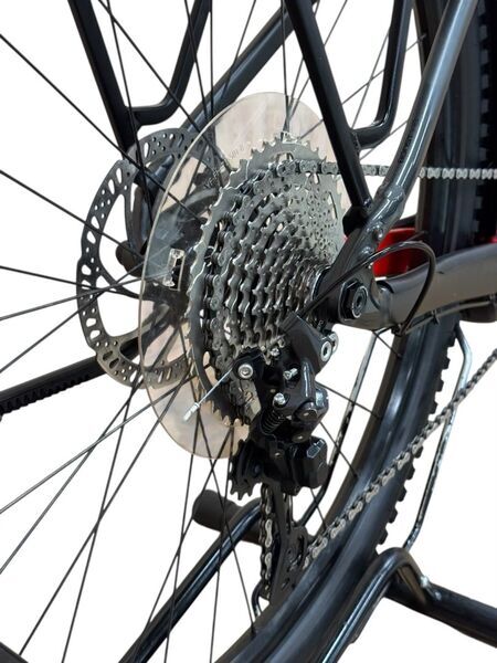 Trek Powerfly Sport 4 Equipped Gen 4 (2023) | Diamant | grau | 29" | L | < 500 km 5