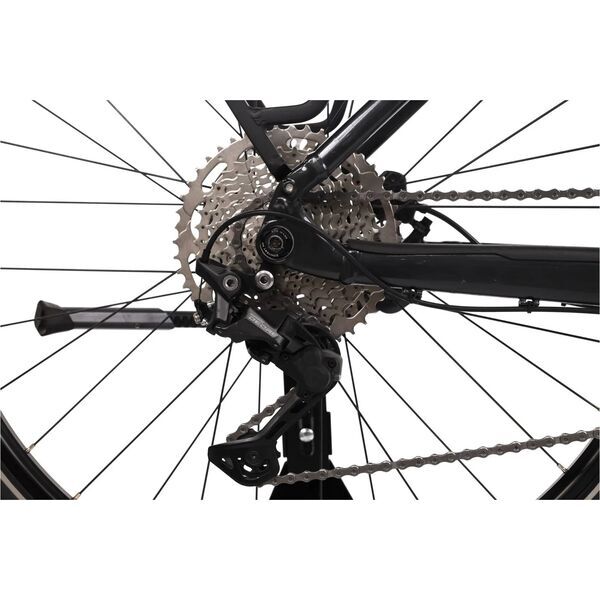 Trek Powerfly 4 (2021) | Diamant | schwarz | 47 cm | L | 2000 - 3000 km | 625 Wh 4