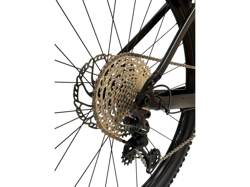 Trek Powerfly 5 2022 | black | 29" | XL | <500 km 4