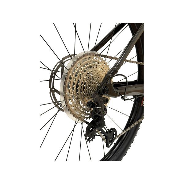 Trek Powerfly 5 (2023) | Diamond | black | 29" | L | < 500 km 5