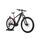 Trek Powerfly 7 (2021) | Diamante | grigio/rosso | 29" | 47 cm | L | < 100 km thumbnail 1/5