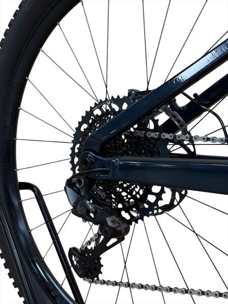 Trek Rail 9 2020 | blue | 29" | L | >3000 km 3