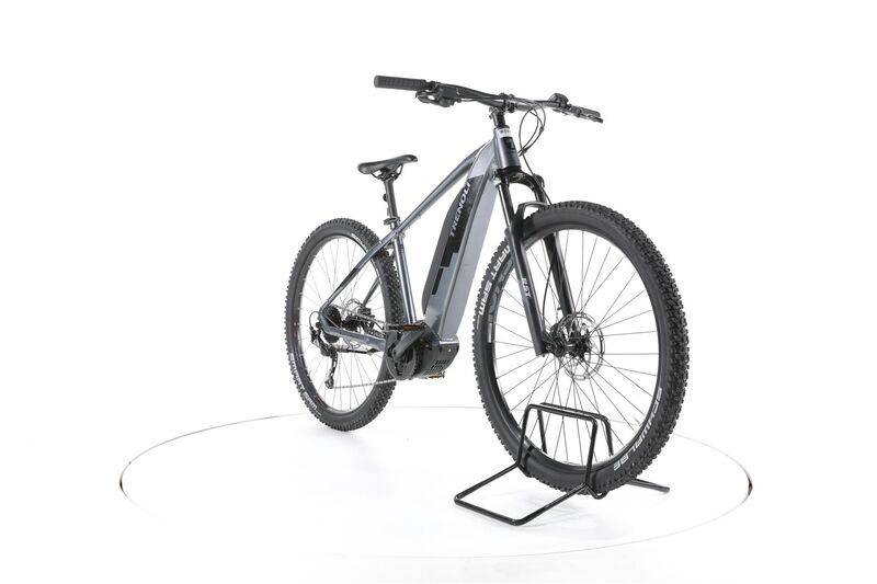 Trenoli Montubo 2022 | grau | 29" | 44 cm | 500 -3000 km 2