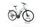 Triumph E-Bird 2022 | grey | 28" | 53 cm | > 3000 km, thumbnail 1 of 4