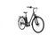 Triumph E-Bird Plus (2021) | Low Entry | green | 54 cm | 2000 - 3000 km thumbnail 1/4