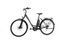 Triumph E-Bird Plus (2021) | Low Entry | green | 54 cm | 2000 - 3000 km thumbnail 4/4