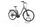 Triumph E-Bird Plus 2022 | grey | 28" | 55 cm | 500 - 3000 km, thumbnail 1 of 4