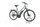 Triumph E-Bird Plus 2022 | grey | 28" | 55 cm | > 3000 km, thumbnail 1 of 4