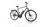 Triumph e-bird Plus 400 2022 | grau | 28" | 60 cm | 500 - 3000 km, thumbnail 1 of 4