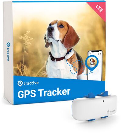 Tractive GPS Dog 4 for Dogs with Activity Tracking (2021 Model) | EXCL. ABO