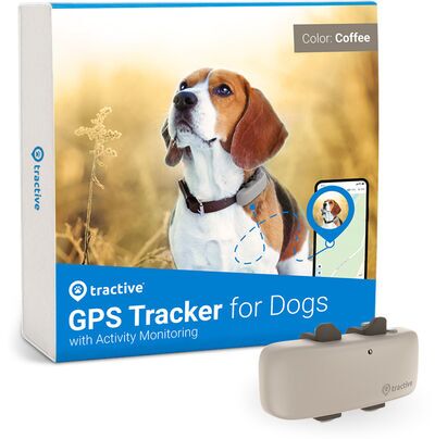 Tractive GPS DOG 4 - localizzatore GPS per cani con monitoraggio del benessere | ABBONAMENTO ESCLUSO