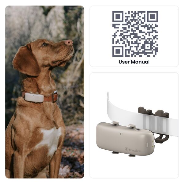 Tractive GPS DOG 4 – GPS-seurantalaite koiralle aktiivisuuden seurannalla | ILMAN TILAUSTA | TRNJA4 | ruskea 3