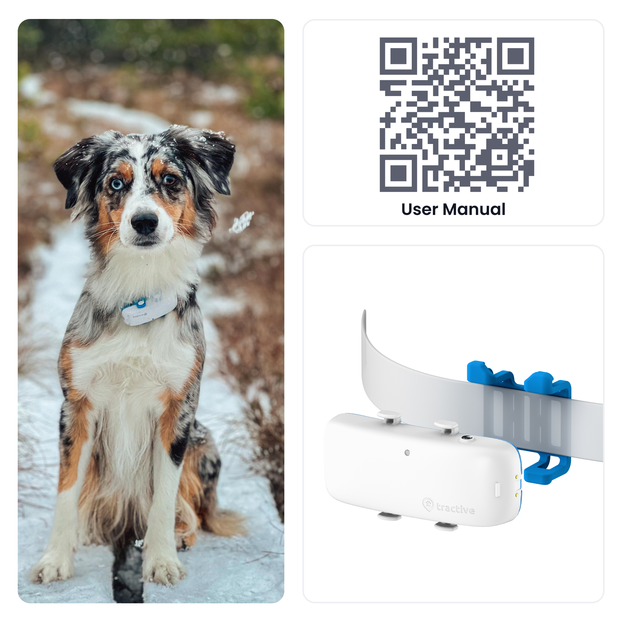 Tractive GPS Dog 4 - Refurbished Dog Tracker
