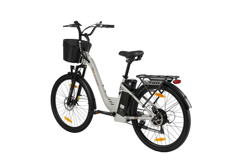 TTGO C2 PRO | silver | 26" | unisize | < 500 km, image 4 of 5