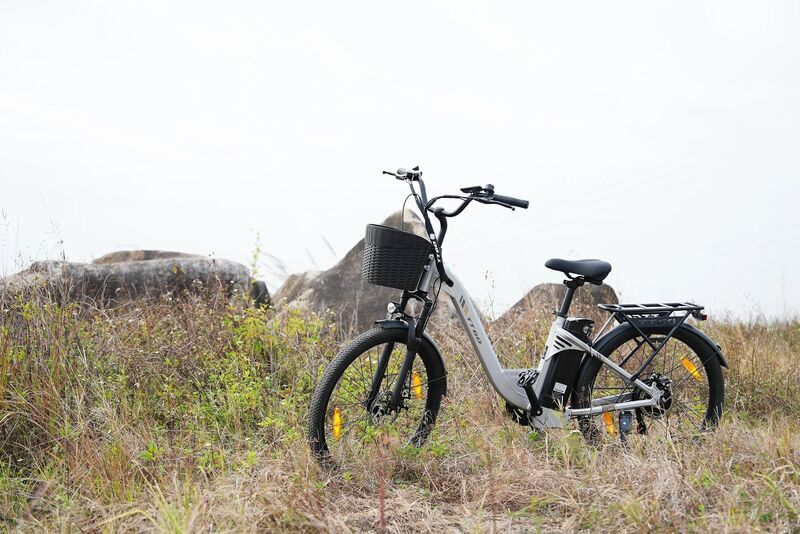 TTGO C2 PRO | silver | 26" | unisize | < 500 km, image 5 of 5