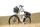 TTGO C2 PRO | white | 26" | unisize | < 500 km, thumbnail 5 of 5